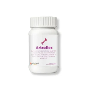 Basics Artroflex Bebible Polvo 100 Gr