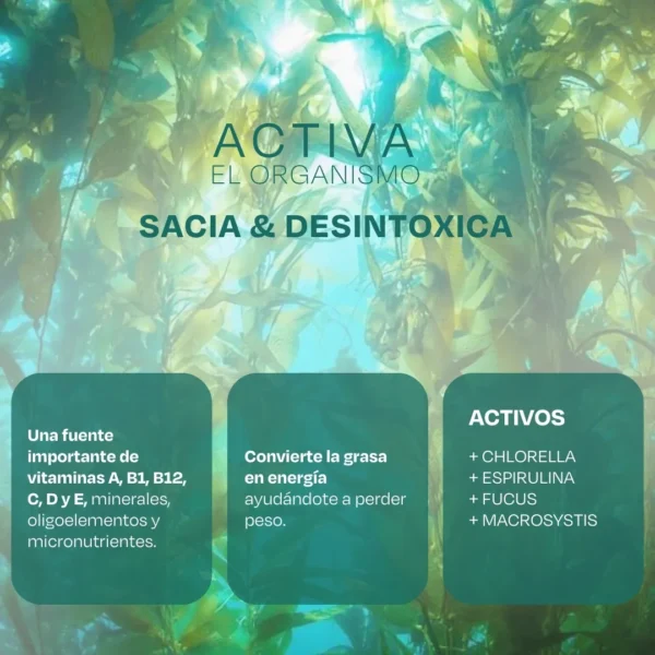 Light Algas Slim 60 Comprimidos - Imagen 2