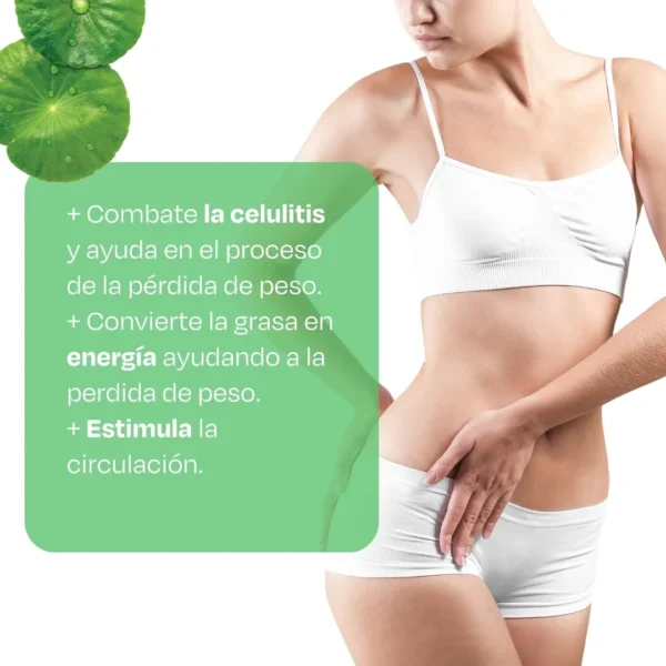 Light Redubell Bebible Polvo 100 Gr - Imagen 4